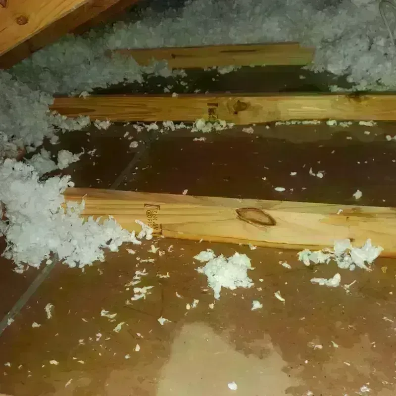 Attic Water Damage in East Garden City, NY