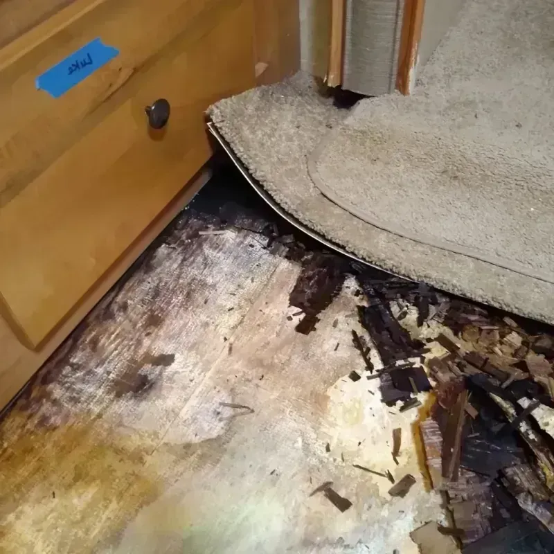 Wood Floor Water Damage in East Garden City, NY